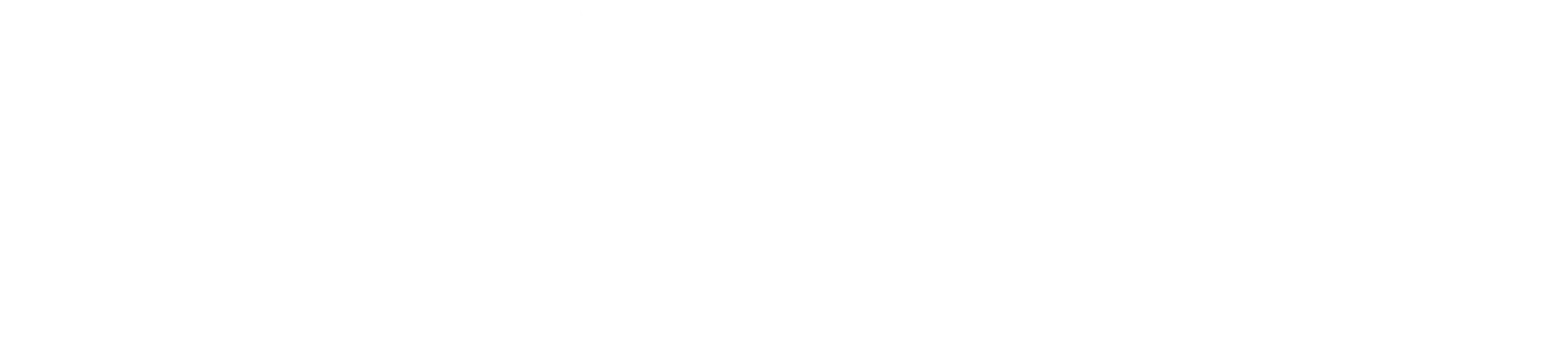 silva_logo_light